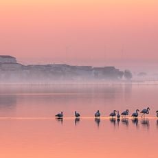 Lake Lesina