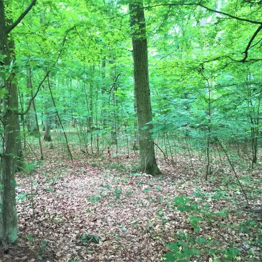 Rezerwat przyrody Korzeń