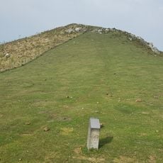 Arriurdiñetako lepoa