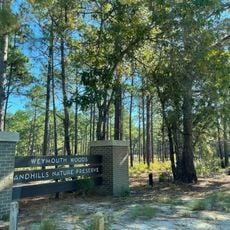 Weymouth Woods-Sandhills Nature Preserve