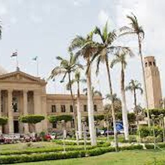 Universidad de El Cairo