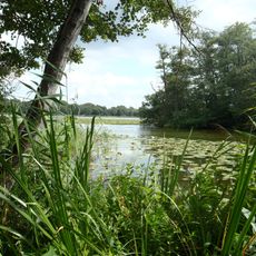 Lyngby Lake