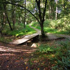 Park Leśny Witkowice w Krakowie