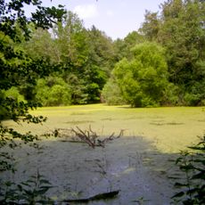 Парк (Трубецкое)