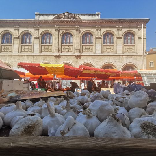 Musée des Beaux-Arts et d'Archéologie de Vienne