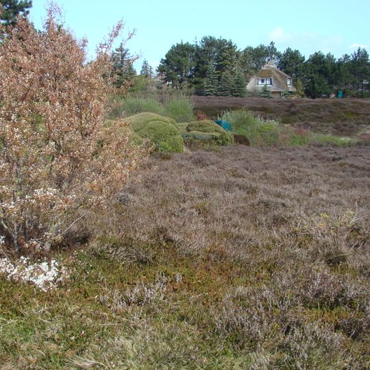 Braderuper Heide/Sylt