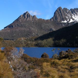 Wildnis Tasmaniens