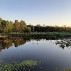 NSG Löserbecken von Weiterstadt