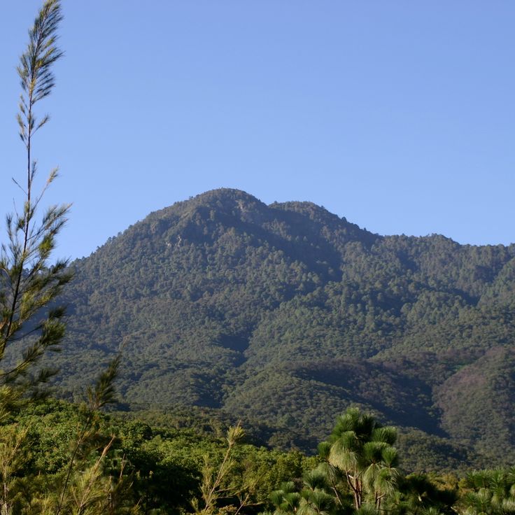 Parc National Benito Juárez
