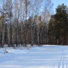 Zatyumensky Forest Park