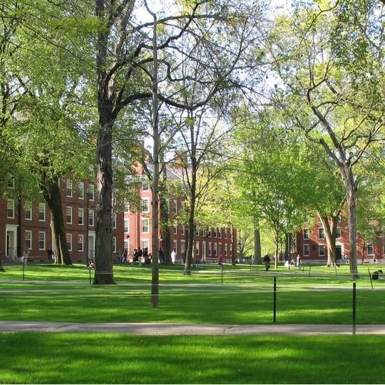 Harvard Yard