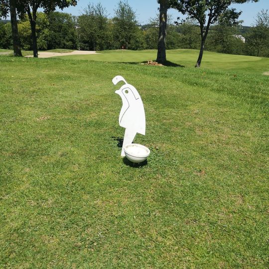 Golf Alençon en Arçonnay