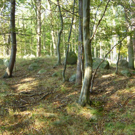 Roden Skov Langdysse SB 12