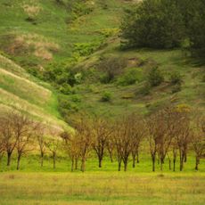 Novomykolajivs'kyj landscape preserve