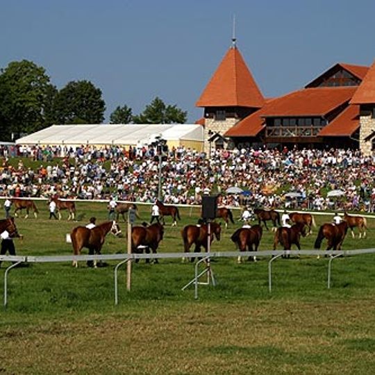 Halle du Marché-Concours