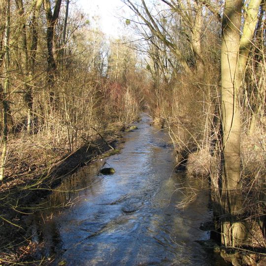 Gräben und Niedermoorreste im Dachauer Moos