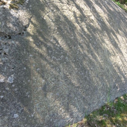 Södermanlands runinskrifter 219