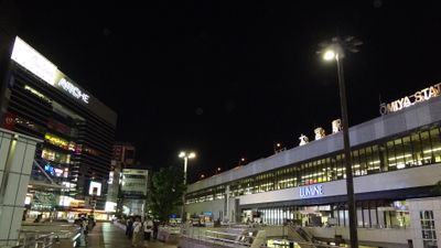 夜景 0