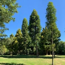 Waipahihi Botanical Gardens