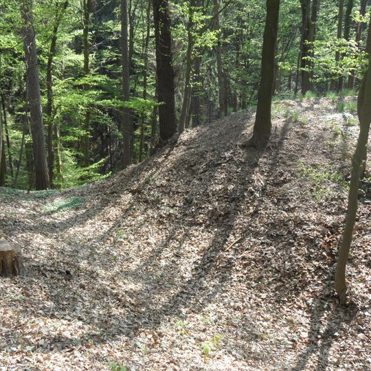 Tvrziště Na Zelenici