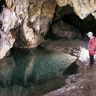 Cueva Maronal