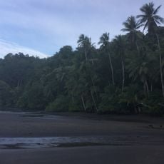 Osa Wildlife Sanctuary