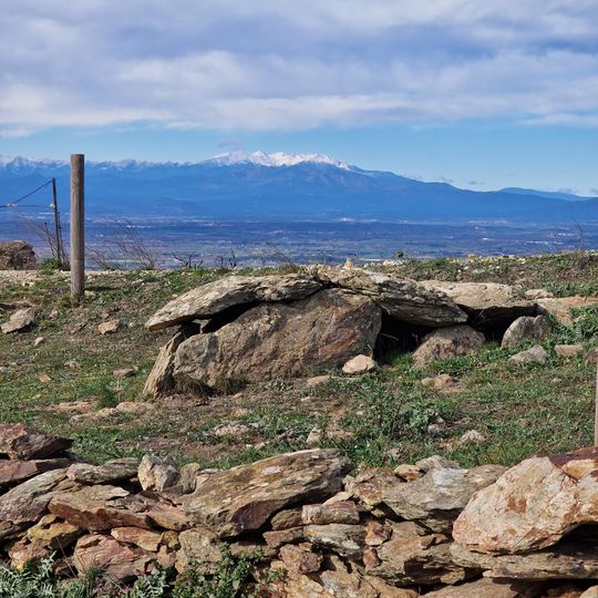 La Tomba del General