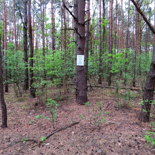 Jewish cemetery in Nadarzyn