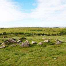 Unenclosed stone hut circle settlement west of Butter Brook Reservoir