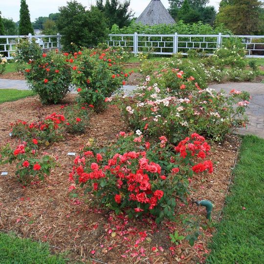 Jardín botánico del Oeste de Kentucky