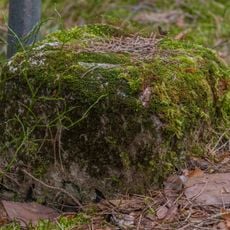 Grenzstein Obere Gemeinde; Pfalzwiesenweg, Alter Zirndorfer Weg; Fünfzigmorgen in Fürth