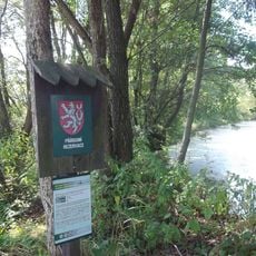 Koutské a Zábřežské louky