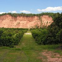 Dipartimento di Orán