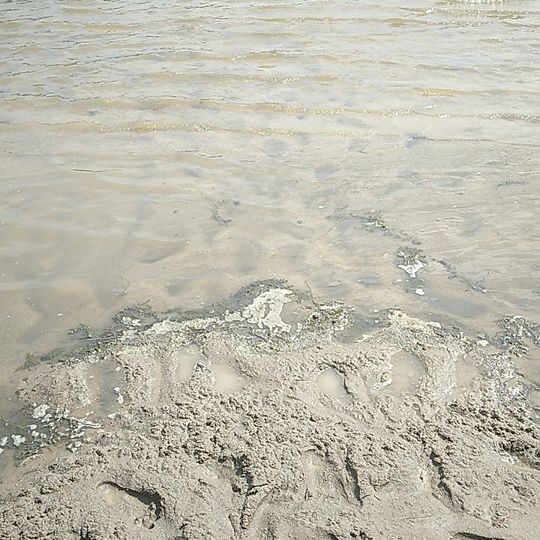 Starve Hollow State Beach