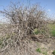 Bilinmeyen Türkmenistan'ın Dikkat Çeken Yerleri