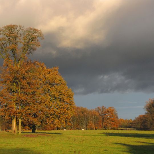 Houdringe: historische tuin- en parkaanleg