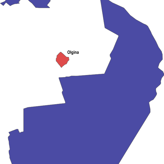 Olgina linnaosa