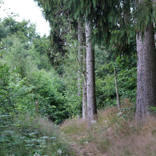 Listarumsåsens naturreservat