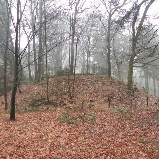 Huis Maarnbergen: grafheuvel op de Foldocusheuvel