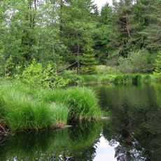 Moore südlich Königsdorf, Rothenrainer Moore und Königsdorfer Alm