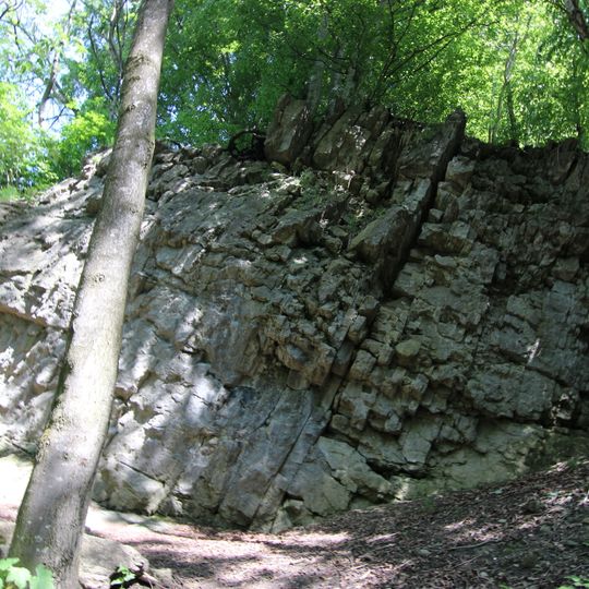 Ehemaliger Steinbruch südlich von Tannen