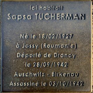 Stoleperstein à la mémoire de Sapsa Tucherman