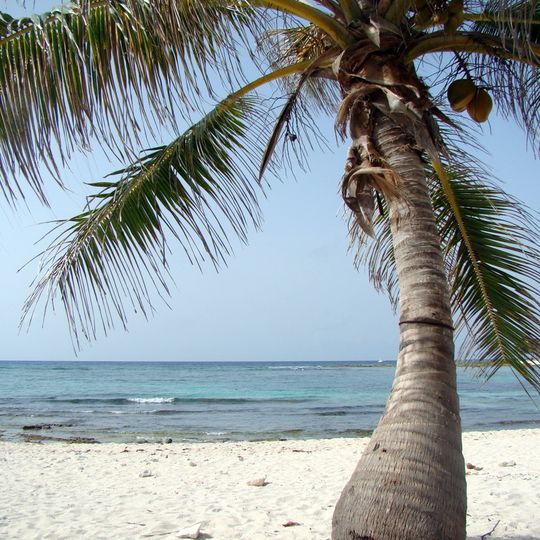 Paamul Beach