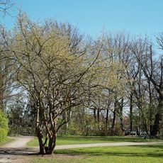Kronepark