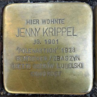Stolperstein dedicated to Jenny Krippel