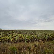Tumulus in Valea, Soroca