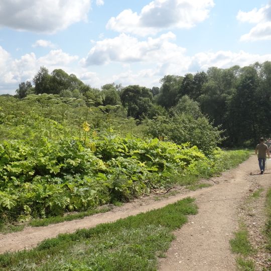 Dedenevo, Naro-Fominsky District