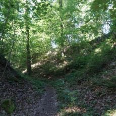 Ruine Hirschenleck