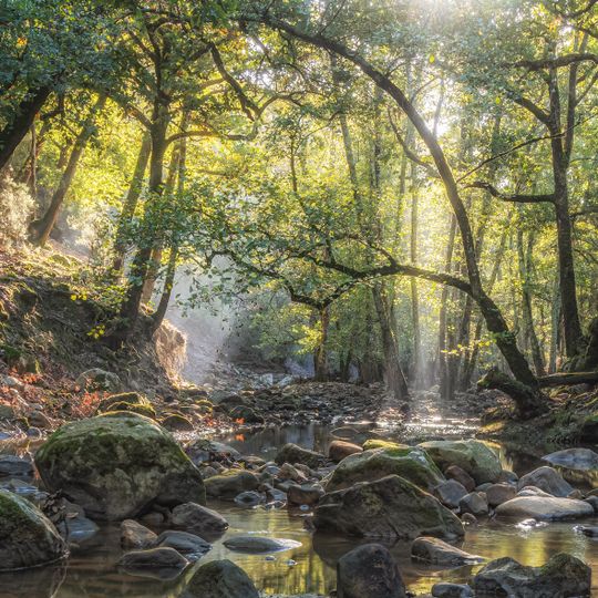 Parque nacional del Uadi Zen
