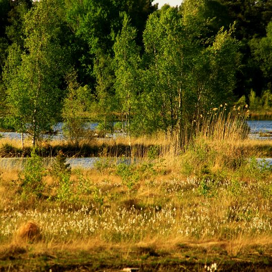 Teufelsmoor bei Horst
